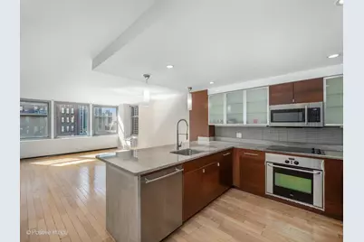 30 E Elm Street #14E, Chicago, IL 60611 - Photo 10