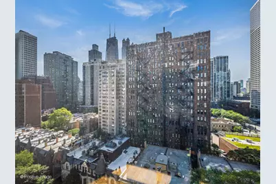 30 E Elm Street #14E, Chicago, IL 60611 - Photo 14