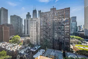 30 E Elm St, Chicago, IL 60611 - Photo 14