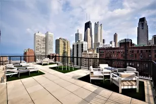 30 E Elm St, Chicago, IL 60611 - Photo 16