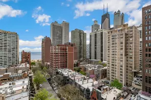 30 E Elm St, Chicago, IL 60611 - Photo 18