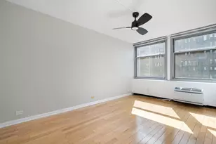 30 E Elm St, Chicago, IL 60611 - Photo 12