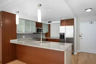 30 E Elm St, Chicago, IL 60611 - Photo 8