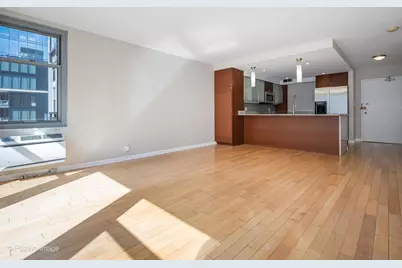 30 E Elm Street #14E, Chicago, IL 60611 - Photo 6