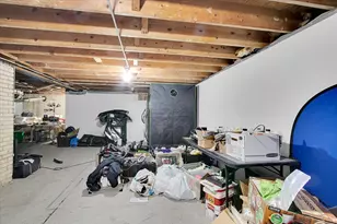 3033 E Hickory Ln, Crete, IL 60417 - Photo 18