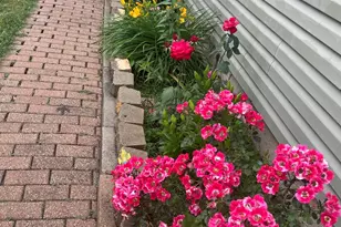 388 Manor Pl, Aurora, IL 60506 - Photo 16