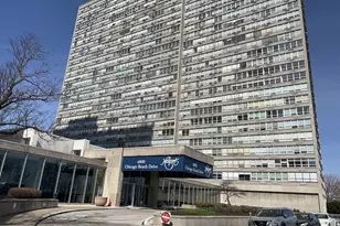 4800 S Chicago Beach Dr, Chicago, IL 60615 - Photo 1