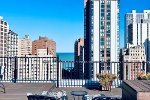 1339 N Dearborn St, Chicago, IL 60610 - Photo 16