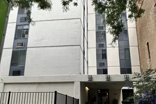 1339 N Dearborn St, Chicago, IL 60610 - Photo 1