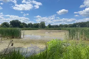 14 N Lake Ave, Third Lake, IL 60030 - Photo 24