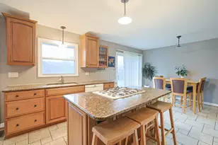 225 Placid Way, Elk Grove Village, IL 60007 - Photo 16