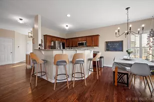 1164 Freedom Rd, Elburn, IL 60119 - Photo 10