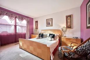 729 S Mecosta Ln, Romeoville, IL 60446 - Photo 12