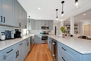 9751 S Hamlin Ave, Evergreen Park, IL 60805 - Photo 8