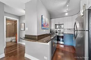 450 W Briar Pl, Chicago, IL 60657 - Photo 8