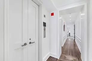 159 E Walton Pl, Chicago, IL 60611 - Photo 38