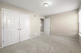 21946 W Tori Ln, Deer Park, IL 60010 - Photo 20