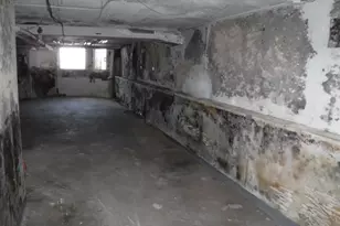 6625 S Woodlawn Ave, Chicago, IL 60637 - Photo 22