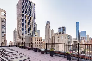 1100 N Dearborn St, Chicago, IL 60610 - Photo 10