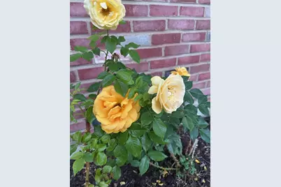 640 Sanders Court, Gurnee, IL 60031 - Photo 34