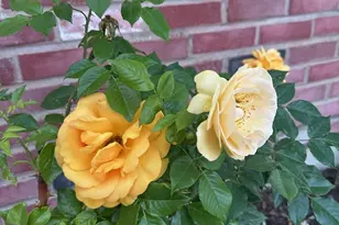 640 Sanders Ct, Gurnee, IL 60031 - Photo 34