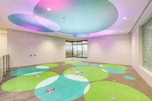 211 N Harbor Dr, Chicago, IL 60601 - Photo 52