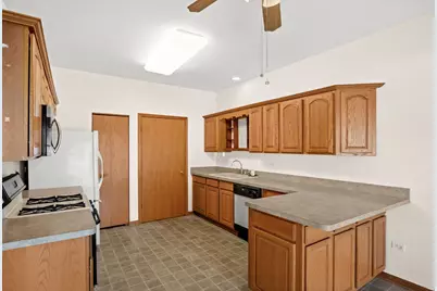 20965 W Snowberry Lane, Plainfield, IL 60544 - Photo 14