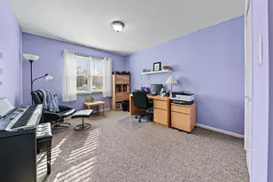 25032 W McMillin Dr, Channahon, IL 60410 - Photo 14