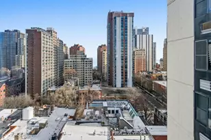 1339 N Dearborn St, Chicago, IL 60610 - Photo 10