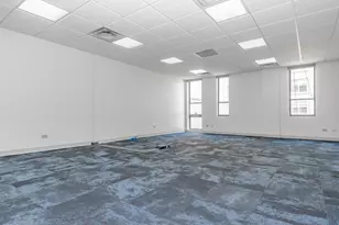 1508 E 53rd St, Chicago, IL 60615 - Photo 16