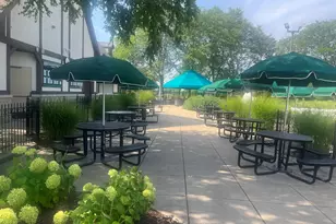 3027 Brossman St, Naperville, IL 60564 - Photo 42