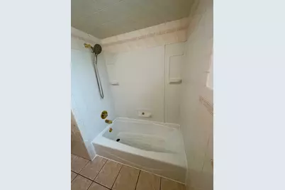 10519 S Avenue E, Chicago, IL 60617 - Photo 10