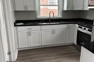 971 Solfisburg Ave, Aurora, IL 60505 - Photo 4