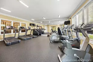 401 Bower Ln, Oswego, IL 60543 - Photo 58