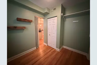 336 S Maple Avenue #2B, Oak Park, IL 60302 - Photo 14