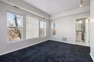 6850 S Dante Ave, Chicago, IL 60637 - Photo 10