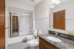 13250 Jean Creek Dr, Orland Park, IL 60462 - Photo 22