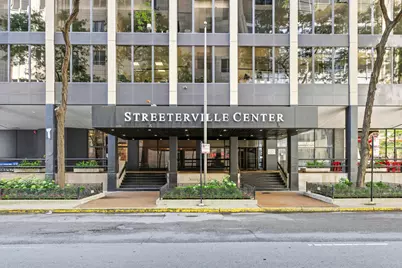 233 E Erie Street #1410, Chicago, IL 60611 - Photo 2