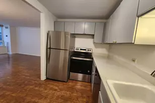 233 E Erie St, Chicago, IL 60611 - Photo 6