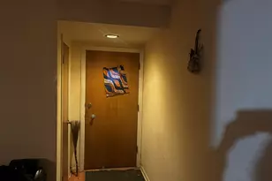 705 W Fitzhenry Ct, Glenwood, IL 60425 - Photo 4