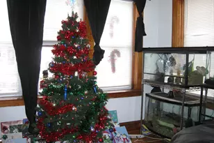 2553 W 45th St, Chicago, IL 60632 - Photo 2