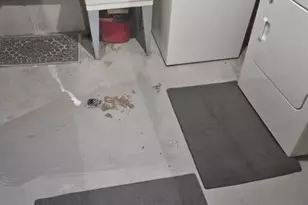 14514 S Parnell Ave, Riverdale, IL 60827 - Photo 12