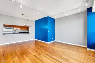 1717 S Prairie Ave, Chicago, IL 60616 - Photo 10