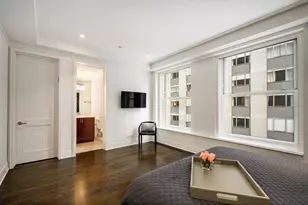 159 E Walton Pl, Chicago, IL 60611 - Photo 28