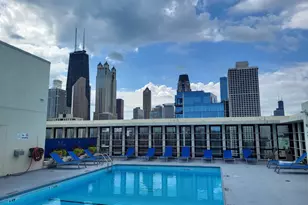 1 E Scott St, Chicago, IL 60610 - Photo 20