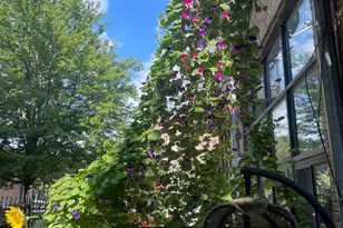 1137 N Wood St, Chicago, IL 60622 - Photo 22