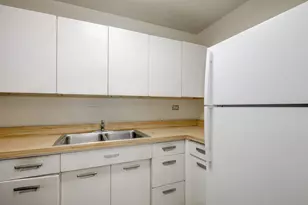 910 N Lake Shore Dr, Chicago, IL 60611 - Photo 6