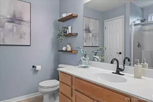 226 Woodland Park Cir, Gilberts, IL 60136 - Photo 20