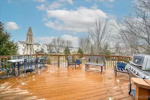 226 Woodland Park Cir, Gilberts, IL 60136 - Photo 30