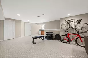 23 Westmoor Ct, Aurora, IL 60502 - Photo 18